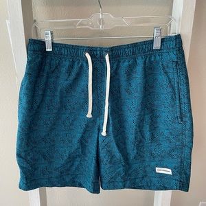 Modern Amusement swim trunks